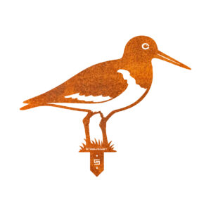 Scholekster Steelhouet grondsteker roest Weidevogel