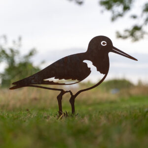 Scholekster Steelhouet grondsteker grondprikker cortenstaal Weidevogel waddenvogel