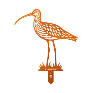Wulp Grondsteker Weidevogel Steelhouet Roest